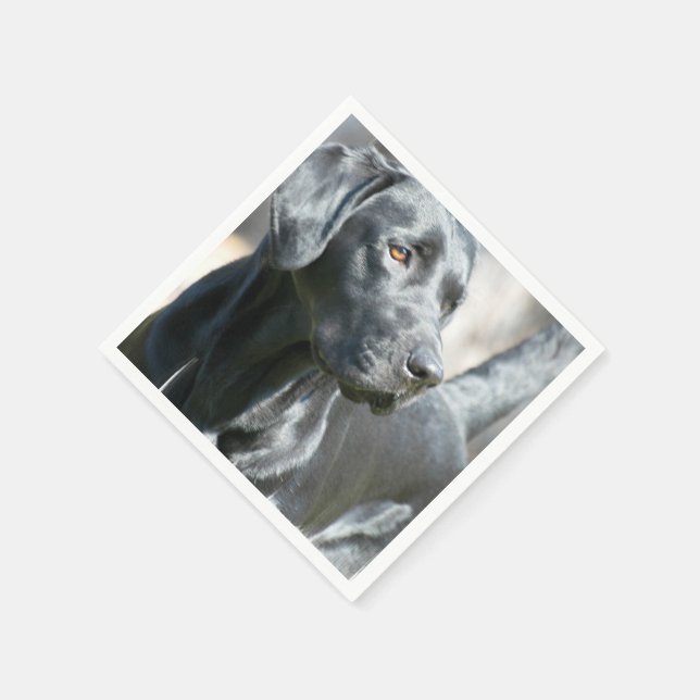 Guardanapo De Papel Laboratório Preto (Canto)