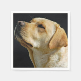 Guardanapo De Papel Labrador Retriever Paper Napkins