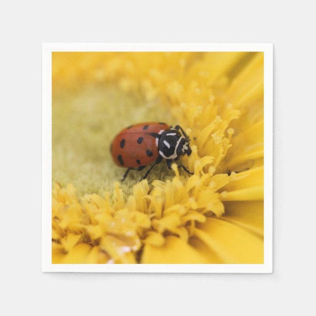 Guardanapo De Papel Ladybug (Frente)