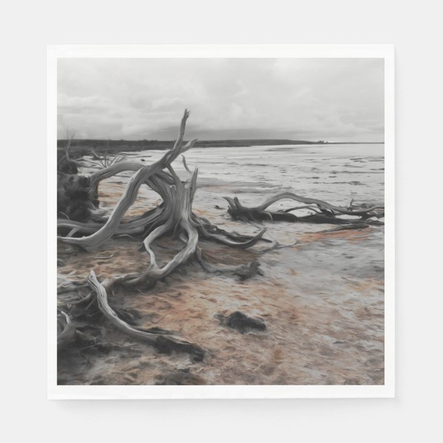 Guardanapo De Papel Lago Tyrrell Natural Forces (Frente)