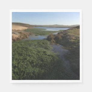 Guardanapo De Papel Lagoa I de Abbotts na costa nacional de Point Reye