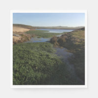 Laguna Abbotts I no Point Reyes National Seashore
