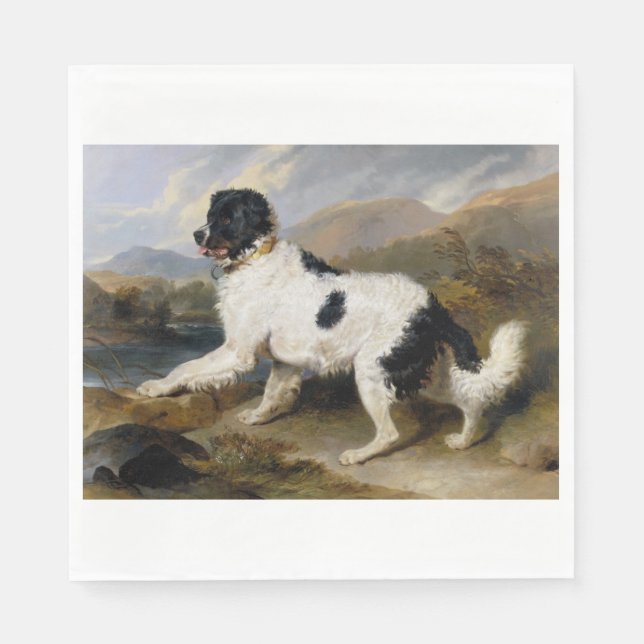 Guardanapo De Papel Landseer Newfoundland Dog (Black and White Animal) (Frente)