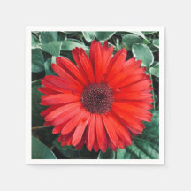 Laranja Daisy napkins