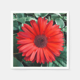 Guardanapo De Papel Laranja Daisy napkins