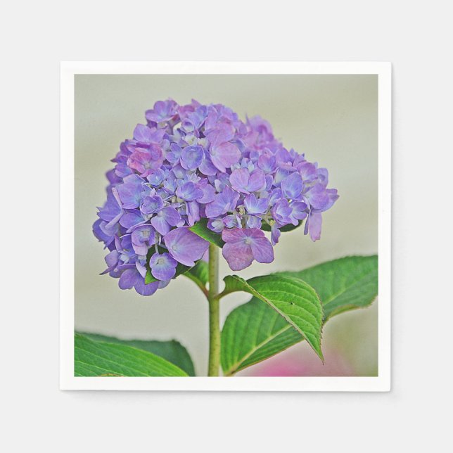 Guardanapo De Papel Lavanda Hydrangea Blossom Papel Napkin (Frente)
