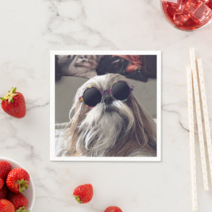 Guardanapo De Papel Legal Shih Tzu longos óculos de sol