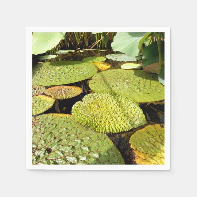 Guardanapo De Papel Lily Pads Paper Napkins (Frente)