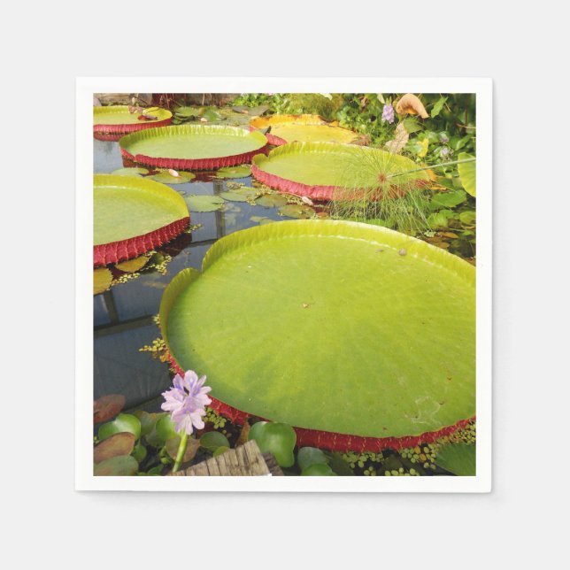 Guardanapo De Papel Lily Pads Paper Napkins (Frente)