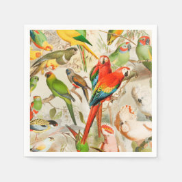 Guardanapo De Papel Linda Colorida Vintage Aves Tropicais Parrots