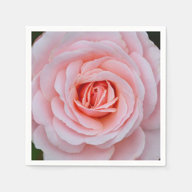 Guardanapo De Papel Linda rosa rosa rosa (Frente)