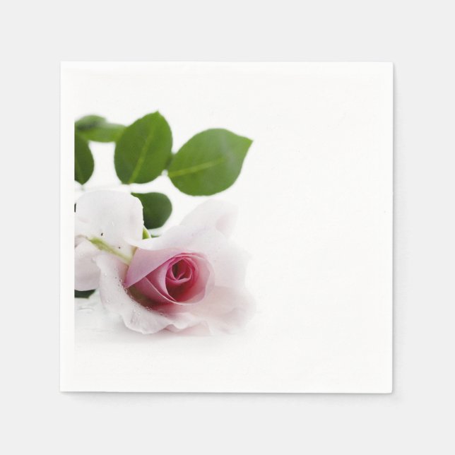 Guardanapo De Papel Linda rosa rosa sobre fundo branco (Frente)