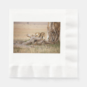 Guardanapo De Papel Lioness alongando