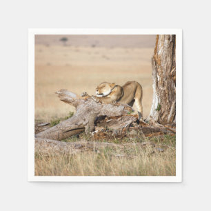 Guardanapo De Papel Lioness alongando