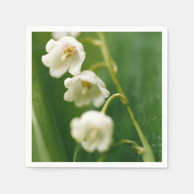 Guardanapo De Papel Lírio-do-vale branco (Convallaria majalis) (Frente)