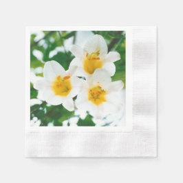 Guardanapo De Papel Lírios brancos - Lilium candidum