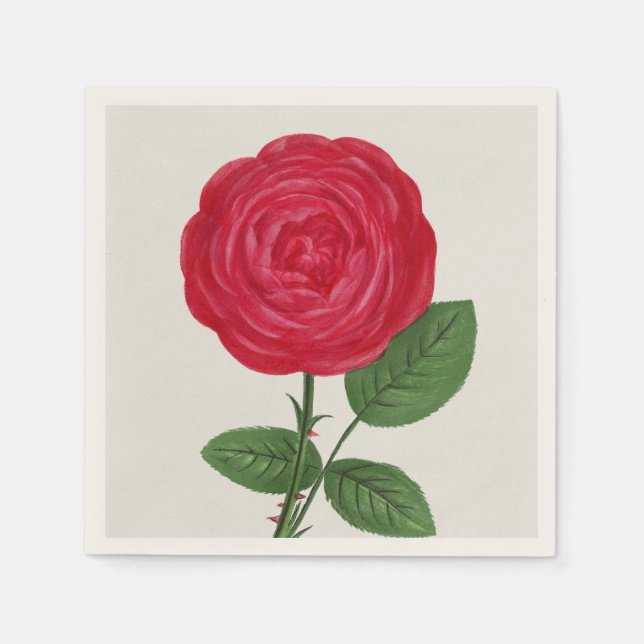 Guardanapo De Papel Litografia de Rosa Antiga, François-Frédéric Grobo (Frente)