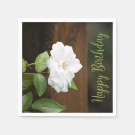 Guardanapo De Papel Livro Branco E Verde Castanho Estimulado