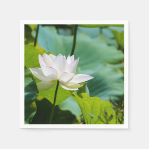 Guardanapo De Papel Lotus