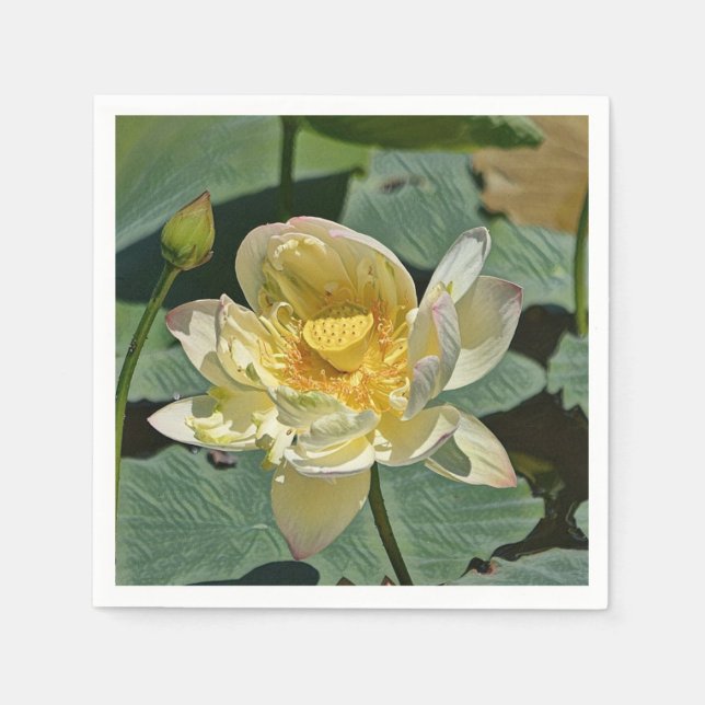 Guardanapo De Papel Lotus Blossom (Frente)