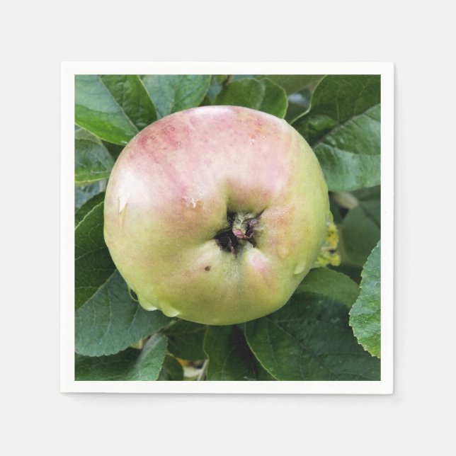 GUARDANAPO DE PAPEL MAÇÃ (Frente)