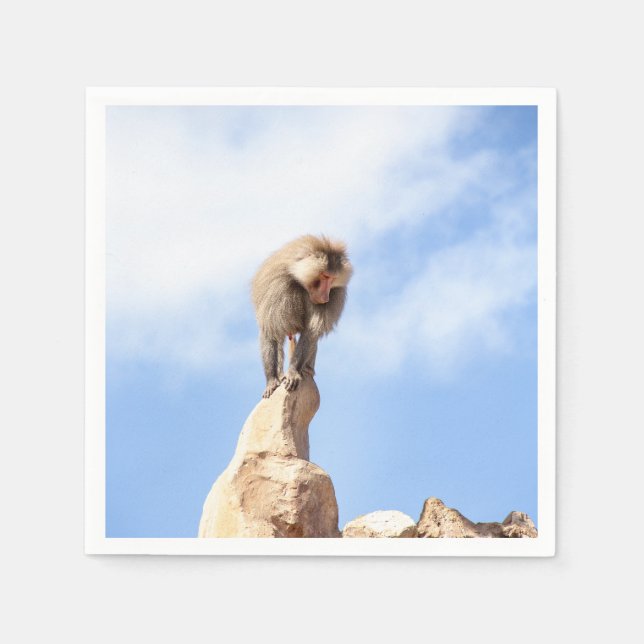 Guardanapo De Papel Macaco babuíno no topo de uma montanha (Frente)
