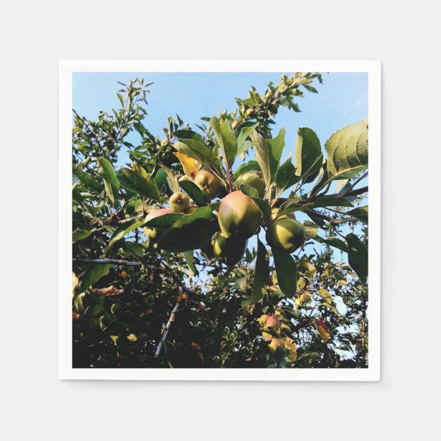 Guardanapo De Papel Maçãs (Frente)