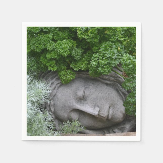 Guardanapo De Papel Mãe Natureza (Frente)