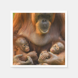 Guardanapo De Papel Mãe Orangutan Segurando Dois Bebês