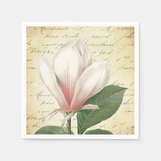 Guardanapo De Papel Magnolia Flor Vintage Botânica (Frente)