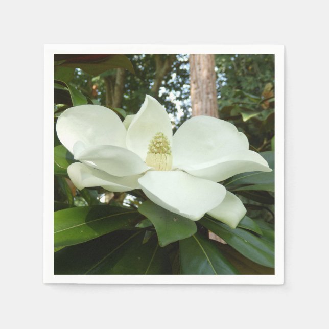 Guardanapo De Papel Magnolia Grandiflora Paper Napkins (Frente)