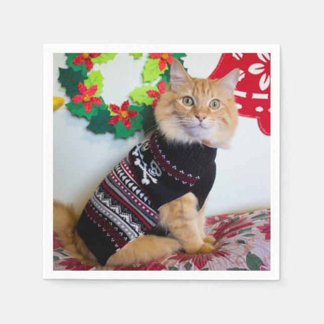 Guardanapo De Papel Maine Cara I (Frente)