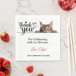 Guardanapo De Papel Maine Coon Peeking Cat Paper Napkins