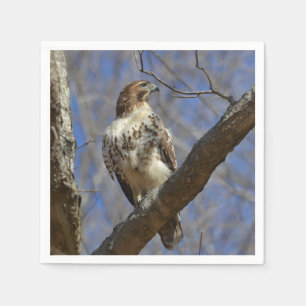 Guardanapo De Papel Majtic Hawk