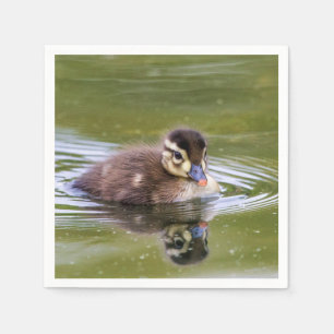 Guardanapo De Papel Mallard Ducking