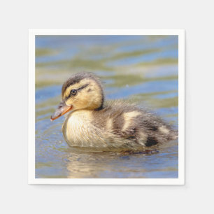 Guardanapo De Papel Mallard Duckling