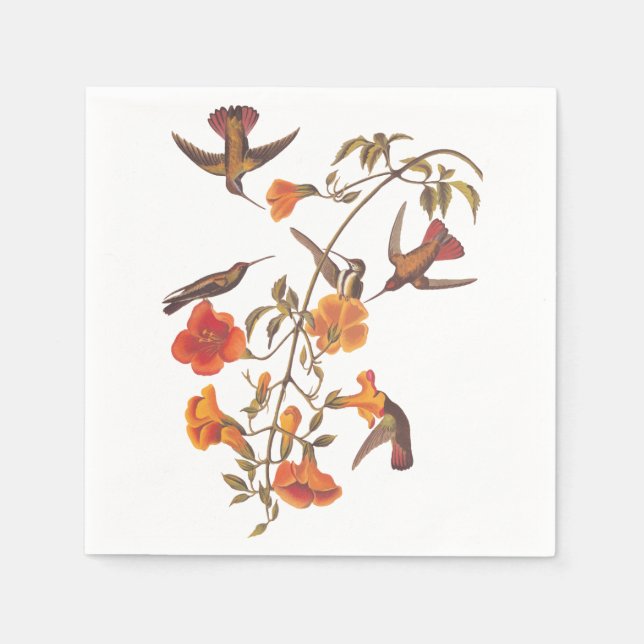 Guardanapo De Papel Mangrove Hummingbird com Flores Laranja (Frente)
