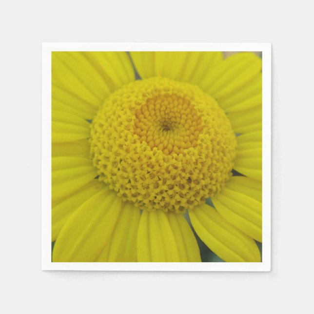 Guardanapo De Papel Marguerite amarela bonito (Frente)