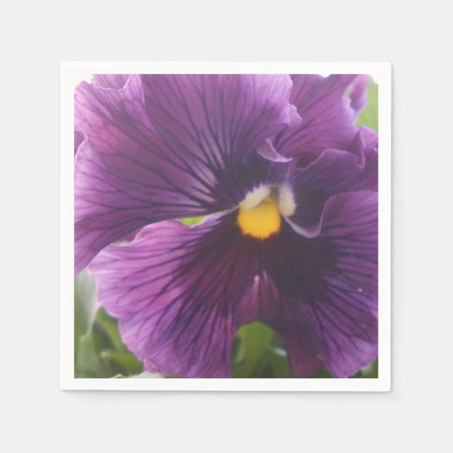 Guardanapo De Papel Mecânica (Frente)