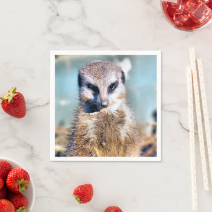 GUARDANAPO DE PAPEL MEERKAT