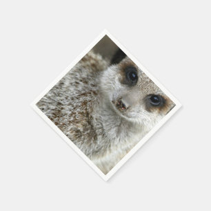Guardanapo De Papel meerkat-16.jpg