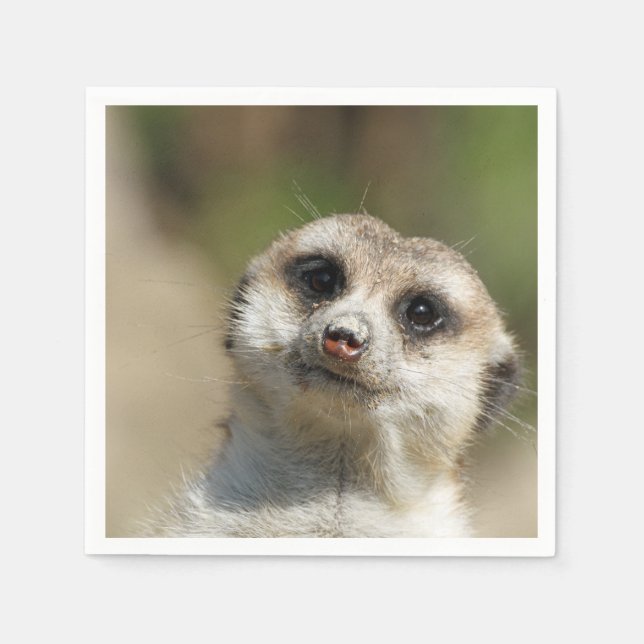 Guardanapo De Papel Meerkat-Retrato 003 (Frente)