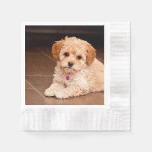 Guardanapo De Papel Mistura da caniche do bebê ou cão de filhote de
