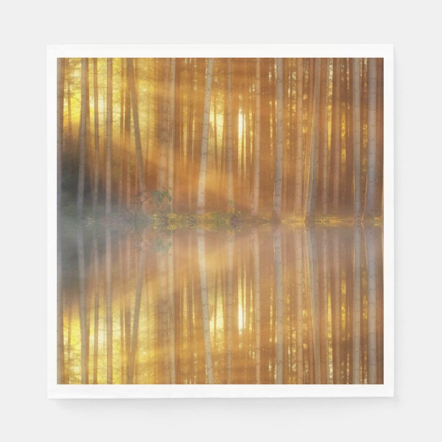 Guardanapo De Papel Misty Forest Scene (Frente)