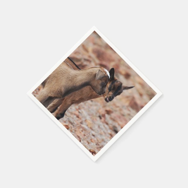 Guardanapo De Papel Miúdos de Cabra (Canto)