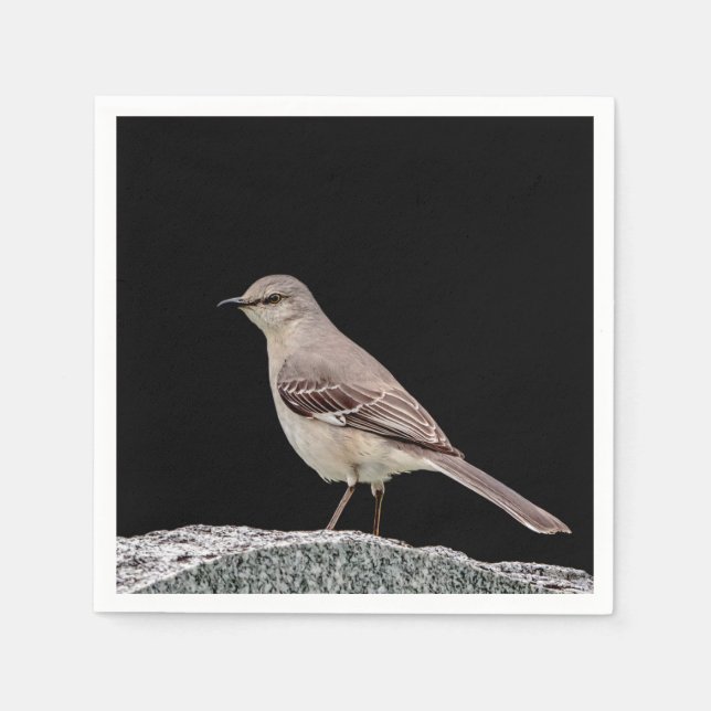 Guardanapo De Papel Mockingbird numa tombstone (Frente)