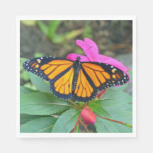 Monarch Butterfly Foto Floral Rosa