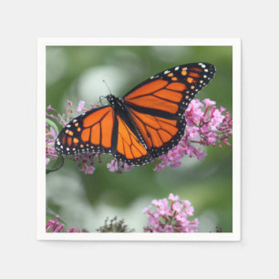 Guardanapo De Papel Monarch Orange Butterfly Foto Floral