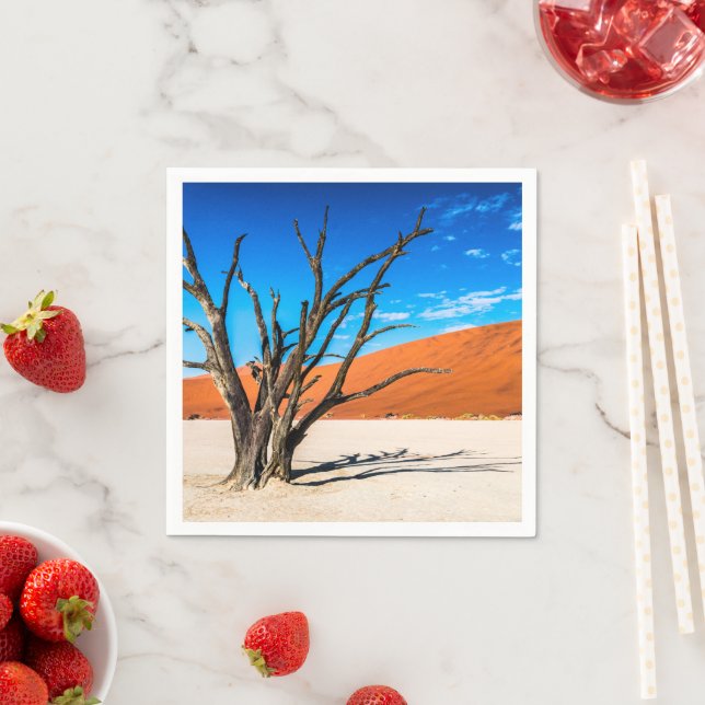 Guardanapo De Papel Morto em Deadvlei, Namíbia (Insitu)