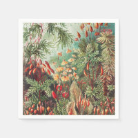 Mosses, Muscinae Laubmoose por Ernst Haeckel